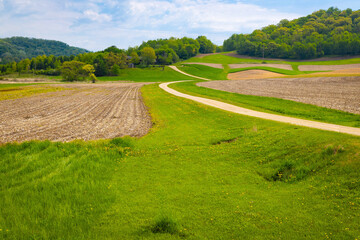 Scenic Road Through Green Farm Field
