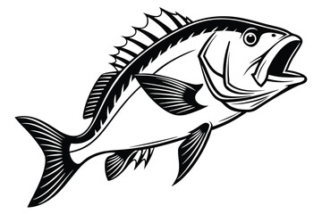 Black and white illustration shows the fish with its mouth open swimming