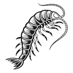 Stylized shrimp reveals intricate details through a monochromatic scheme and prominent segmentation