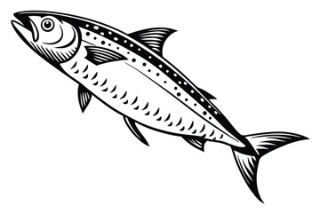 Monochrome mackerel shows black detail along its body in a striking form