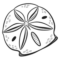 Isolated sand dollar shows a pattern of oval holes, flower design, and outer edge