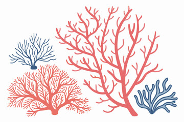 Several vibrant pink and blue coral formations stand out against a clean, bright white backdrop