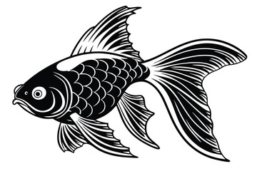Black and white fish displays beautiful scales with artistic fins and a tail
