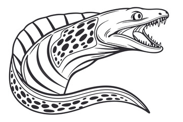 A monochrome moray eel curves forward while its mouth is agape showing sharp teeth