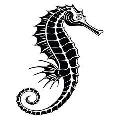 Fototapeta premium Detailed monochrome seahorse displays intricate fin details and a gracefully curled tail