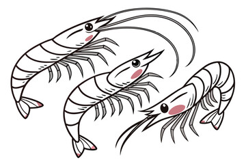 Cartoon shrimp showcase delightful pink cheeks with intricate detailing on a white background