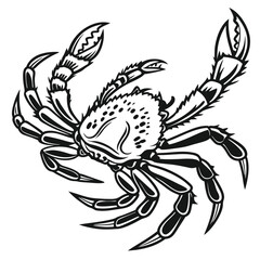 Detailed crustacean crab with claws raised high shows intricate line art style on white