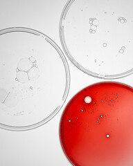 Petri dish. Petri cups with liquid. Kit. Chemical elements, oil, cosmetics. Gel, water, molecules, viruses. Close-up. On a white background.