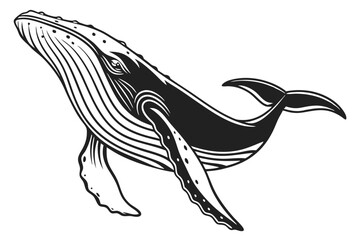 A majestic humpback whale dives elegantly, showcasing its detailed monochrome skin pattern and graceful flippers © Kanica