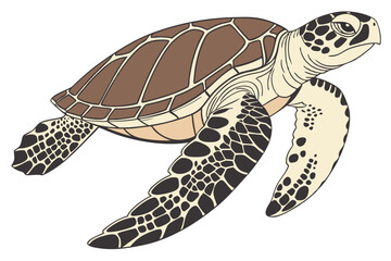 Brown shelled sea turtle swimming elegantly through clear, pristine ocean waters gracefully