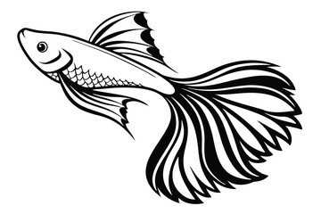 Decorative fish line art with long flowing tail showcases intricate monochrome beauty