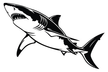 Sharp black and white shark ascends with open jaws displaying its teeth prominently