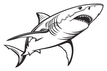 Monochrome shark with menacing open jaws swims upwards in this line art drawing