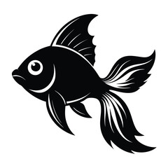 Striking black fish swims gracefully with flowing fins on a plain background