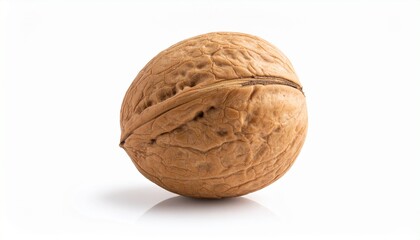 walnut on white background