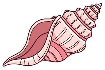 A beautifully drawn pink conch shell with ridges and unique patterns shines brightly
