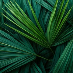 a group of palm fronds overlapping each other creating a layered green pattern in a tropical forest