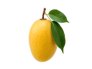 Ripe mango with green leaves, close-up view, bright white background,vitamin,object,juicy