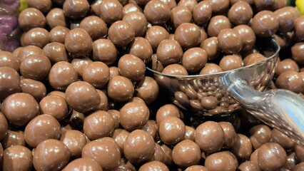 nuts in milk chocolate, chocolate, close-up, sweets, delicacies, sugar, cocoa, food, dessert