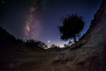 beauty of night