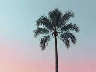 Minimalist Palm Tree Silhouette on Pastel Blue-Pink Gradient Background