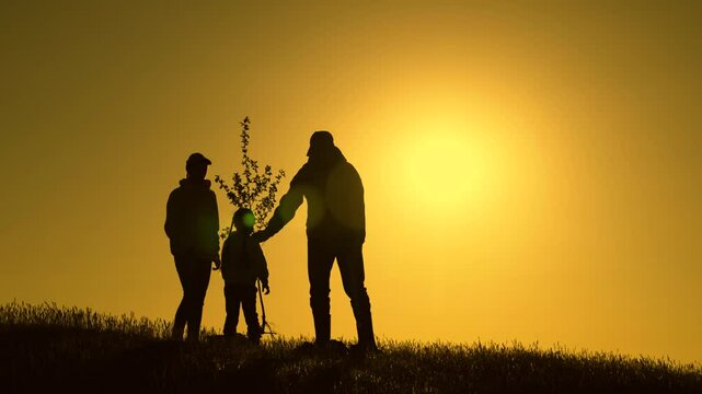 Family mom dad child with shovel planting young tree in soil. Silhouette of family with tree at sunset. Dad mom and child planting tree. Happy family team planting tree in sunny spring time. Gardeners
