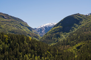 Picturesque mountain landscape in Norway. A green valley with a dense forest and a snow-capped mountain peak in the background on a clear summer day.