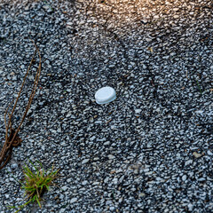 A plastic bottle cap lays on pavement in a city park.