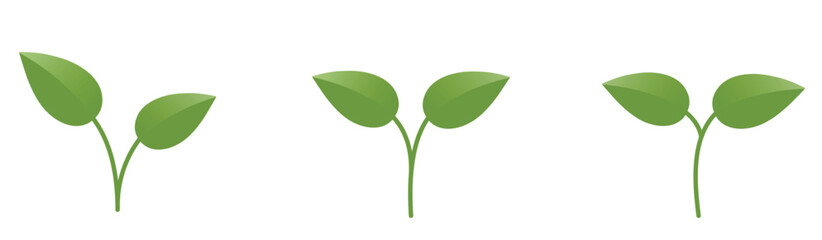 Green sprouts with two leaves. Germination, planting and nature design elements. Isolated vector images