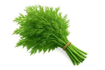 Bunch of fresh dill isolated on transparent background, aromatic herbs cut-out