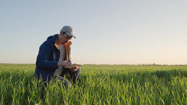 Working on farm with digital tablet in agriculture. Farmer with tablet evaluates with his hand shoots, green wheat sprouts in field. Technology of modern agriculture. Environmentally friendly