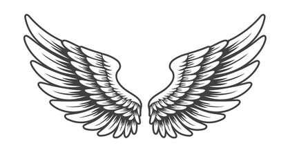 angel wings vector illustration vintage design
