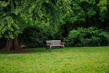 Lonely empty wooden bench under large tree in quiet green park symbolizing solitude, depression,...