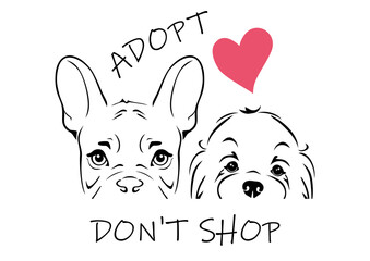 Peeking French Bulldog and Maltese Bichon. Adopt don't shop