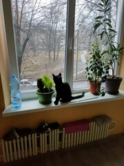 table and chairs on the terrace