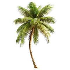 Obraz premium A tall, vibrant palm tree swaying gently, showcasing lush green fronds against a bright backdrop.
