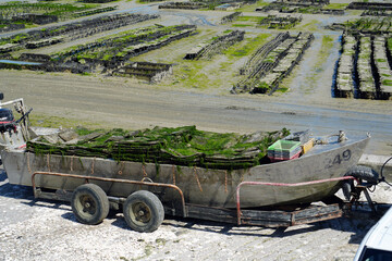 Die Austernb&auml;nke von Cancale