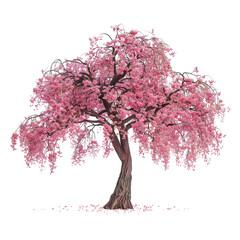 Fototapeta premium A vibrant pink flowering tree showcasing spring's beauty with delicate blossoms and a sturdy trunk.