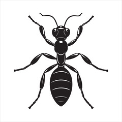 Fototapeta premium ant vector illustration black insect
