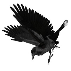3D rendered black fantasy raven isolated on transparent background
