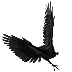 3D rendered black fantasy raven isolated on transparent background