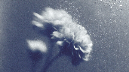 Close-up view of a flower with water droplets, creating an artistic blur effect in a serene environment