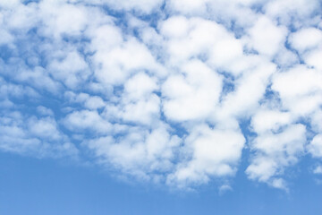 Obraz premium Expansive blue sky filled with fluffy white clouds, creating a serene atmosphere, perfect for backgrounds or design projects needing a tranquil and airy feel