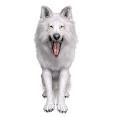 Obraz premium 3D rendered white fantasy wolf isolated on transparent background
