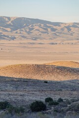 Golden hour bathes the arid landscape of Carrizo Plain National Monument in California, USA, highlighting the rolling hills and distant mountains.