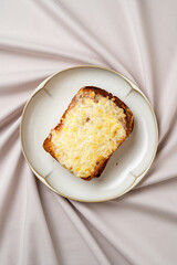 A warm slice of toasted bread topped generously with melted cheese rests elegantly on a simple white plate, creating an inviting culinary delight against a textured fabric background