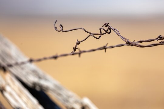 A close-up shows weathered barbed wire attached to a blurred wooden fence in Carrizo Plain National Monument, California, USA. The wire, once used for property demarcation, now symbolizes rural decay.
