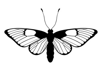 Fototapeta premium Geometric butterfly design angular patterns, garden insect silhouette graphic for embroidery pattern and vinyl decal.