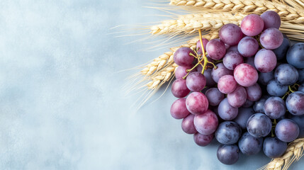 Fresh purple grapes and wheat stalks on light blue background