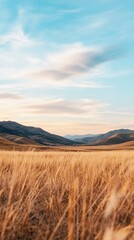 Golden field meets a hazy mountain range under a vibrant sky